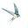 Bank Ground Farm logo